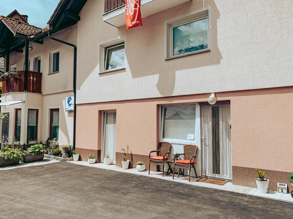 Apartments Ivanovic Идрия Экстерьер фото